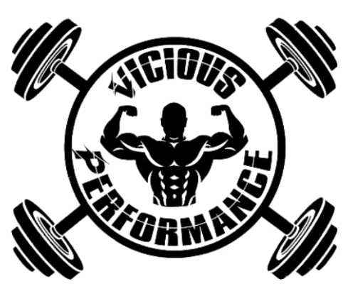 Vicious Performance logo